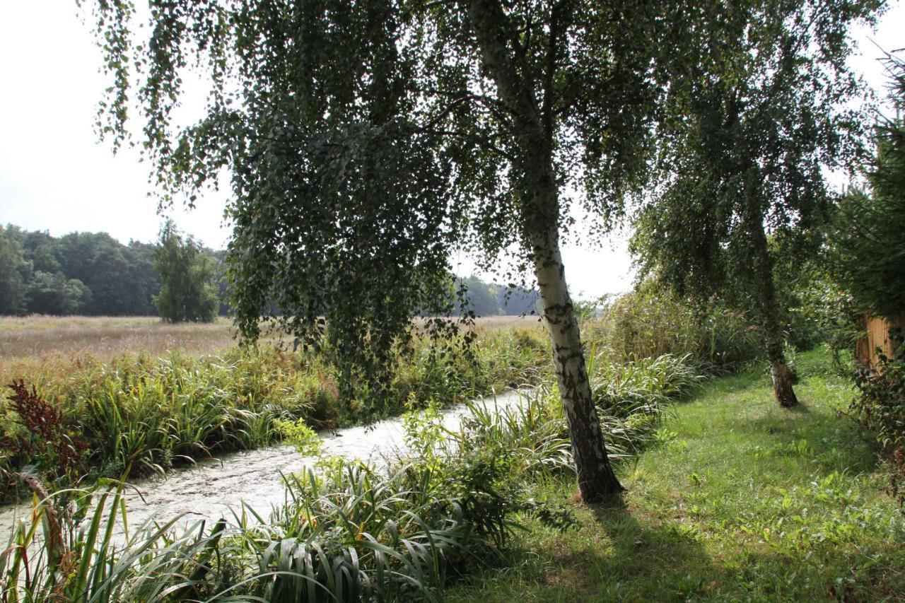 Domki Ranczo Itrich Villa Łeba Exterior foto